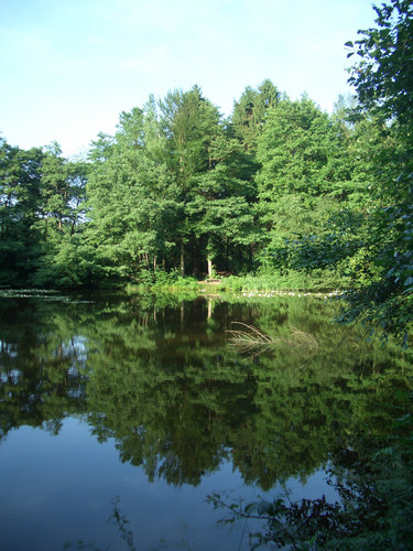 Lanshuber-Weiher