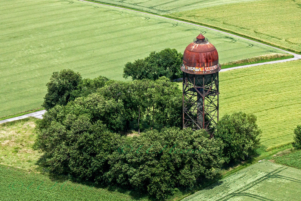 Lanstroper Ei