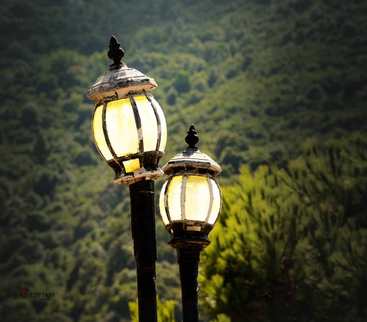 Lantern Corse