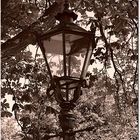 Lantern