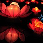 Lantern Festival (2)
