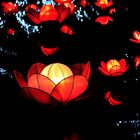 Lantern Festival