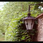 Lantern in the park