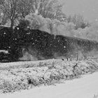 l'antico treno a vapore...