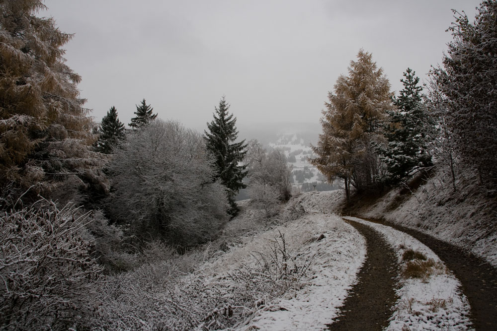 Lantsch/Lenz