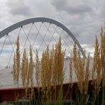 Lanxess-Arena mit Gräser