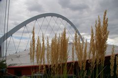 Lanxess-Arena mit Gräser