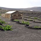 Lanzarote