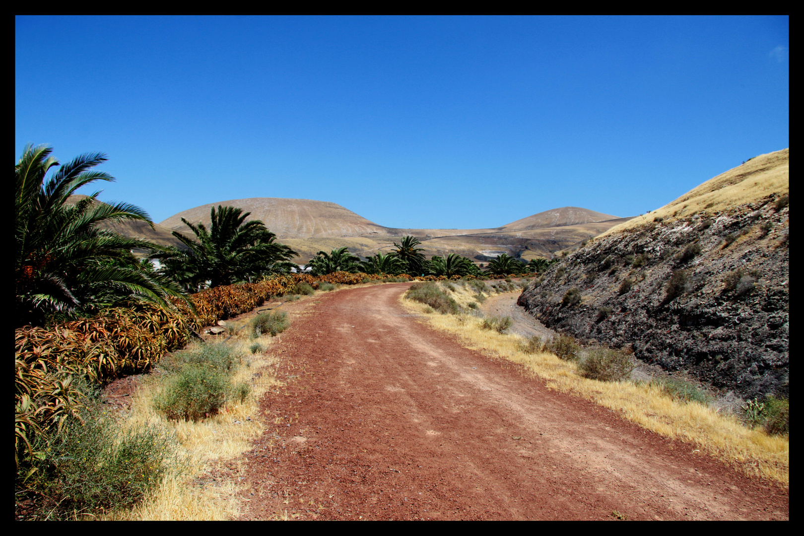 Lanzarote