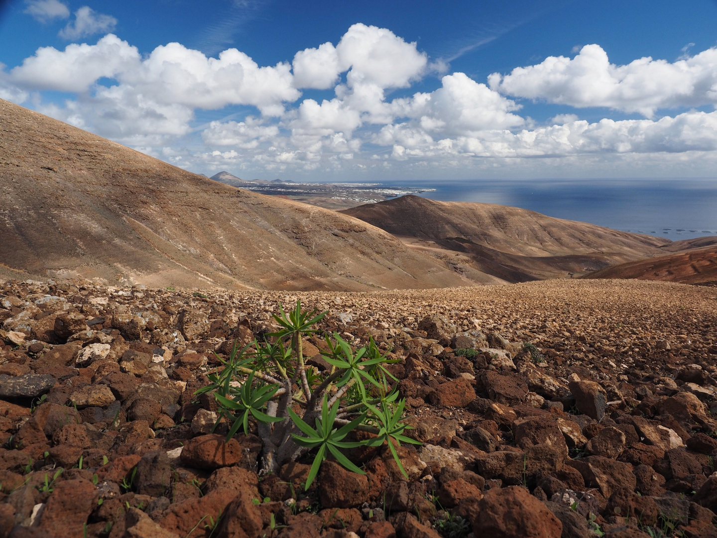 Lanzarote 1