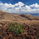 Lanzarote 1