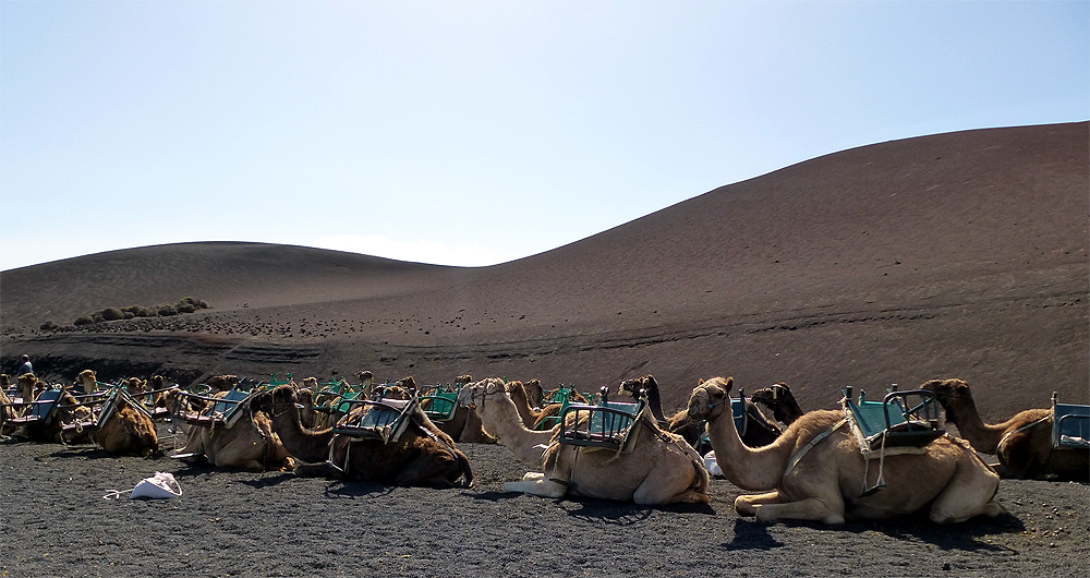 Lanzarote 1