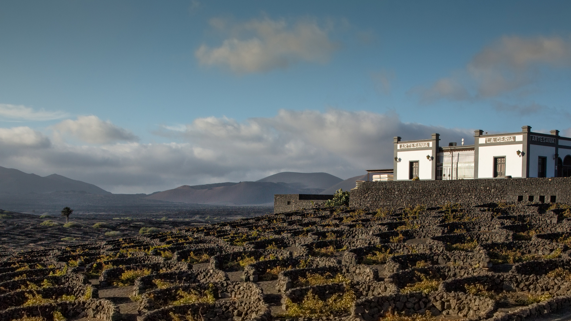 *Lanzarote-2*  "La Geria"