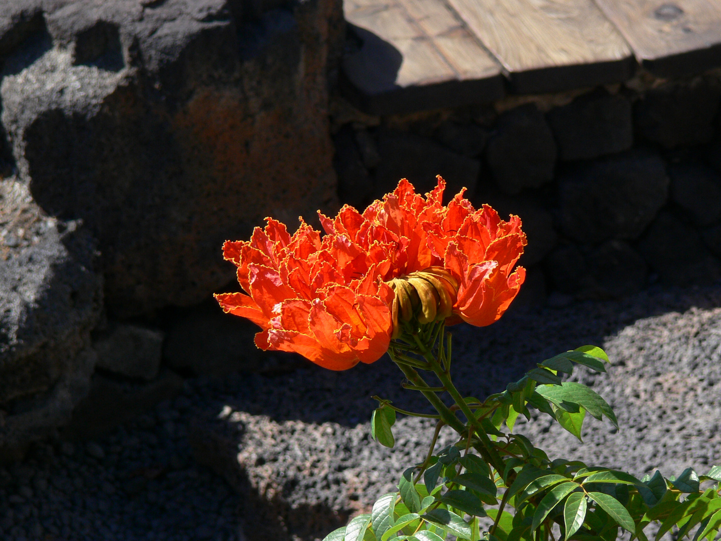 Lanzarote 2006 - Jameo del Agua