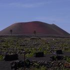 Lanzarote 2011