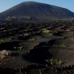 Lanzarote (2017), Wein aus La Geria