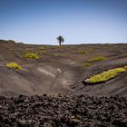 Lanzarote 2018