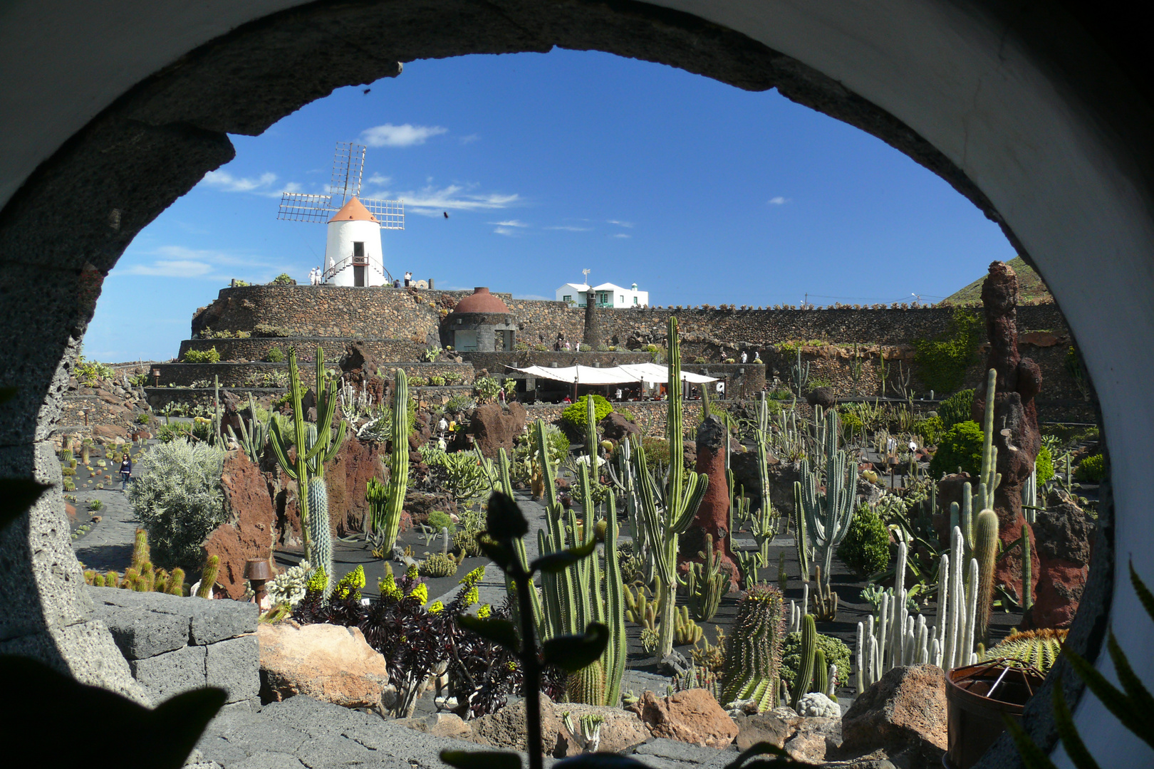 Lanzarote 2019 (11) - Blick in den Jardin de Cactus