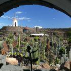 Lanzarote 2019 (11) - Blick in den Jardin de Cactus