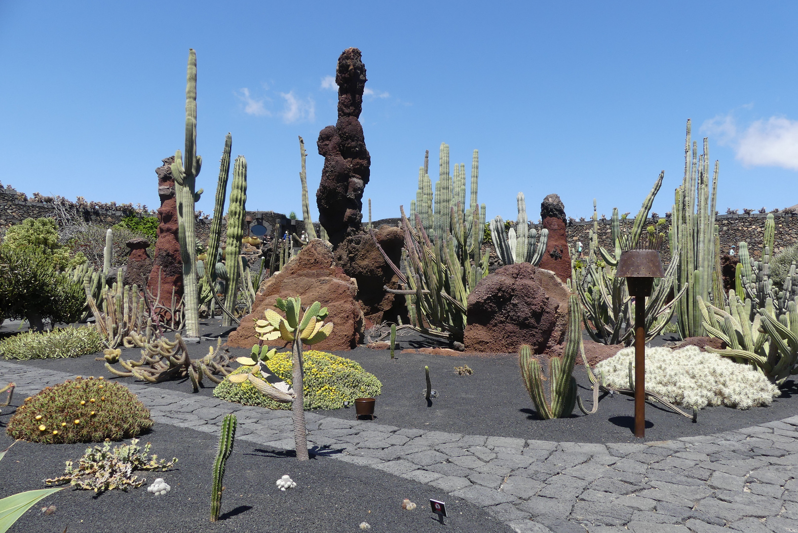 Lanzarote 2022 - Besuch im Jardin de Cactus