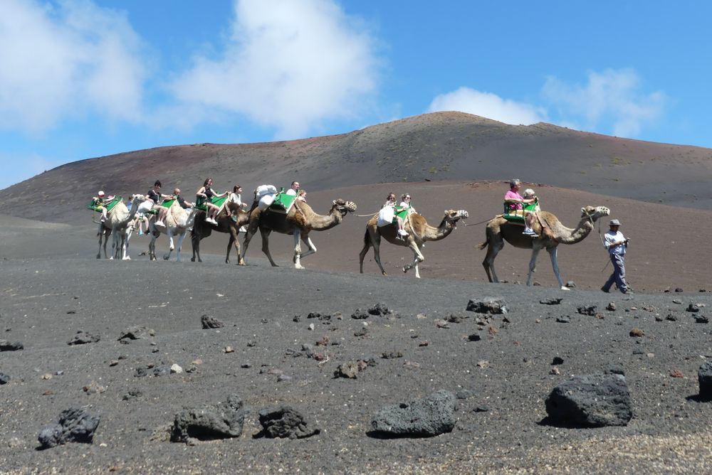 Lanzarote 2022 - Ein Ritt mit dem Kamel in die Feuerberge ...