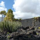 LANZAROTE