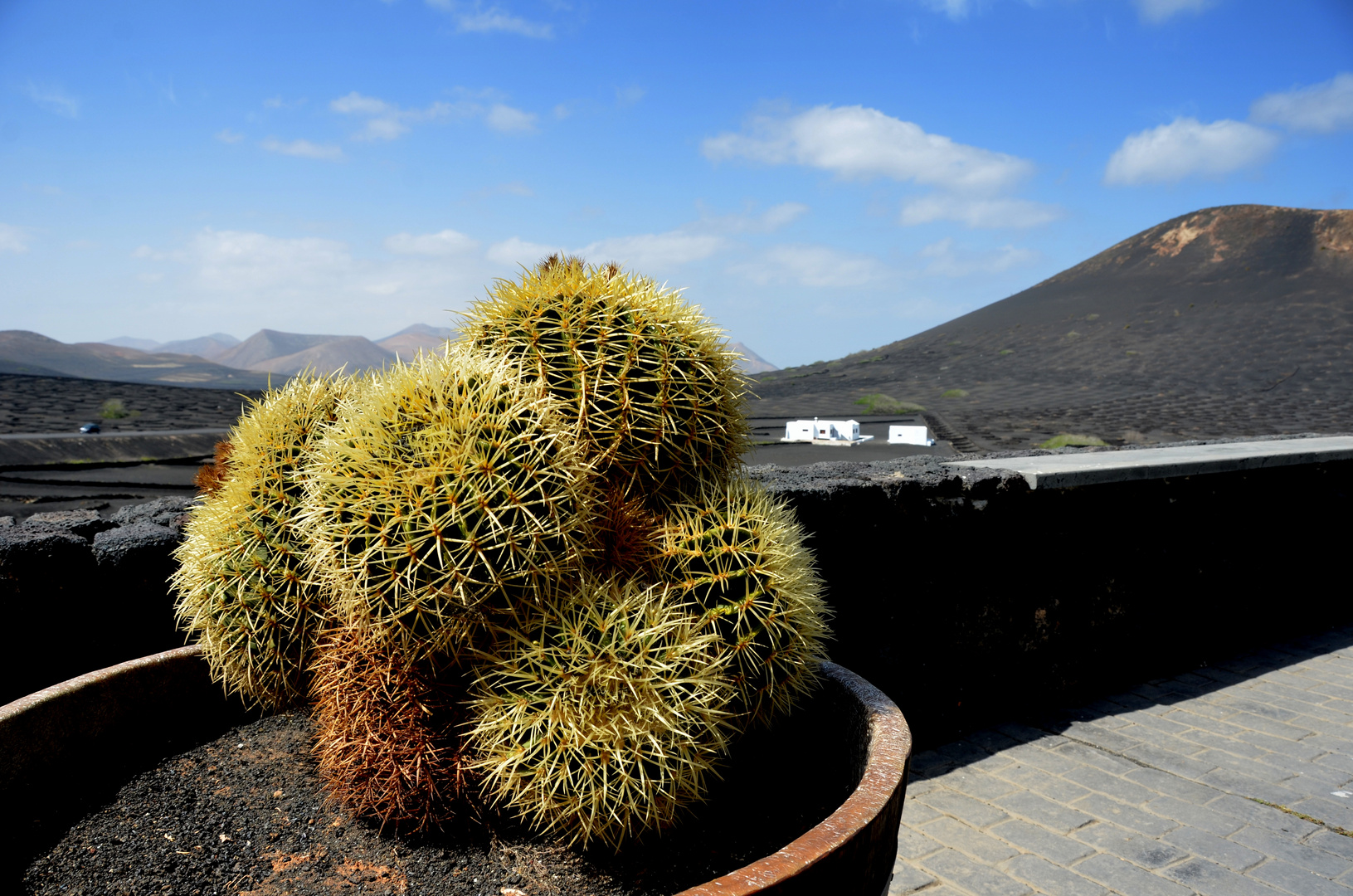 Lanzarote