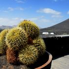 Lanzarote