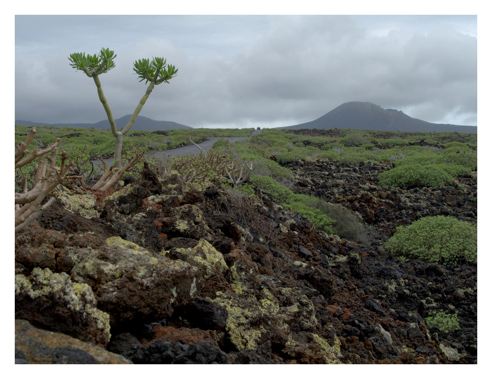 Lanzarote #3