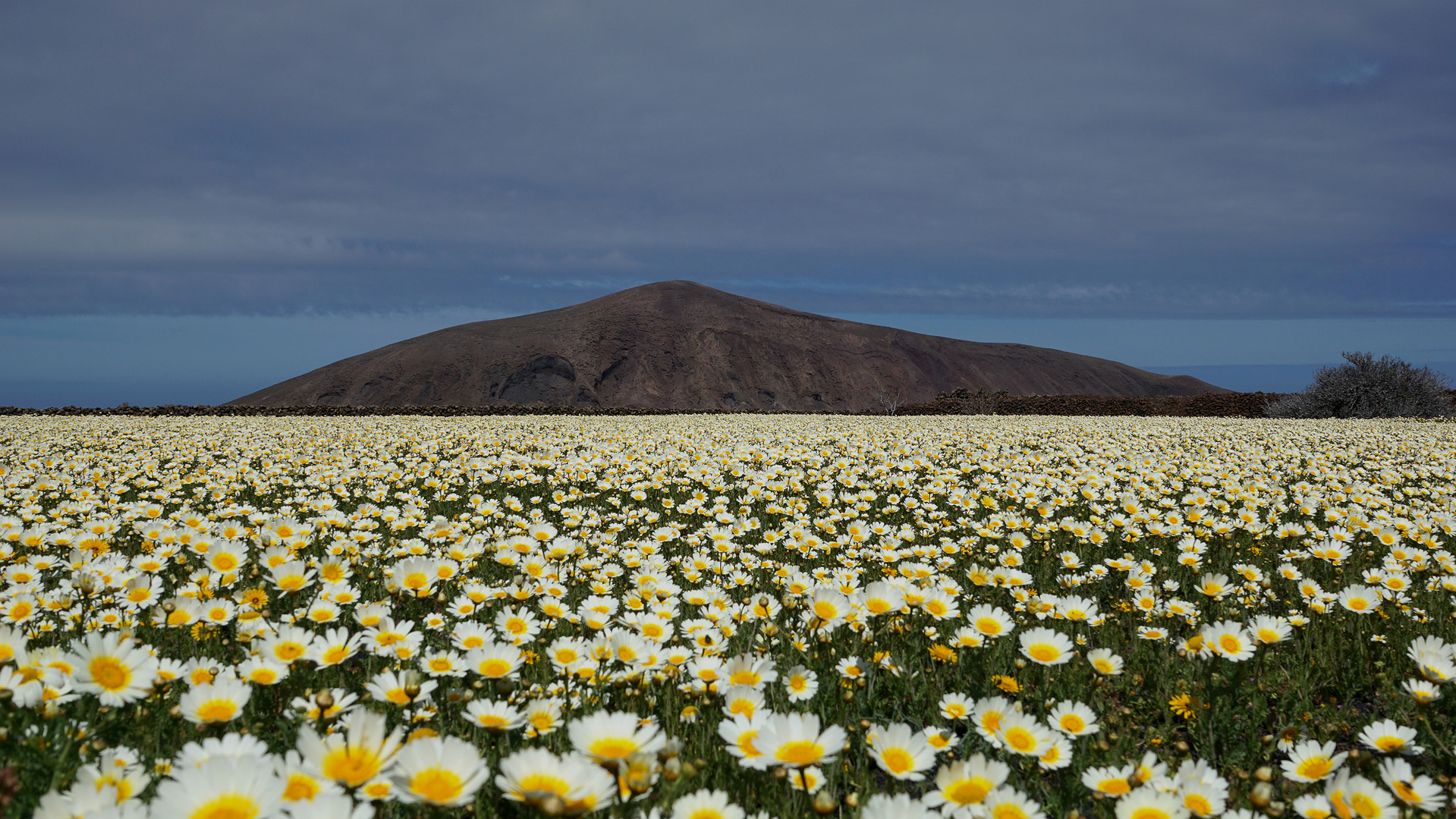 Lanzarote