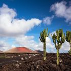 Lanzarote 4