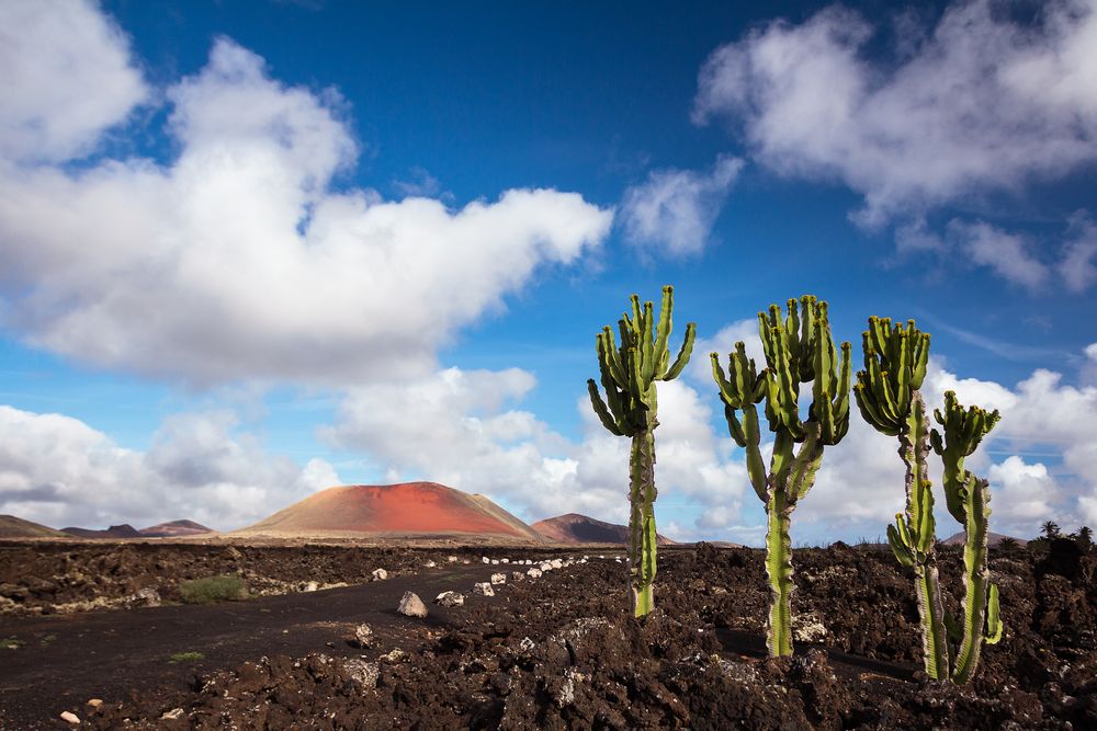 Lanzarote 4