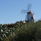 Lanzarote 