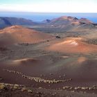 Lanzarote