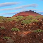 Lanzarote