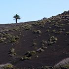 Lanzarote