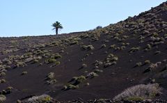 Lanzarote