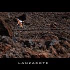 Lanzarote