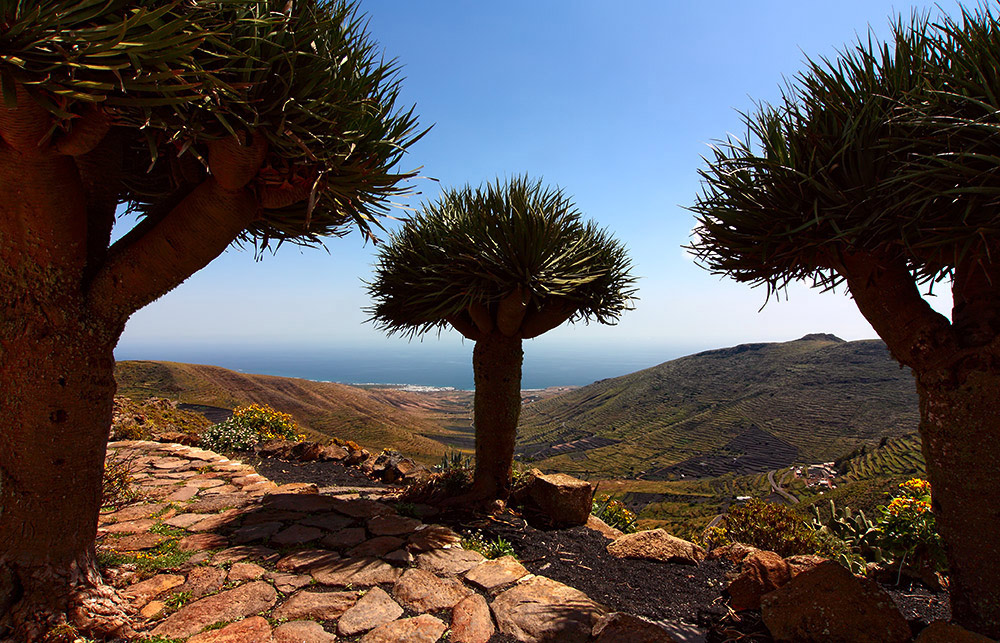 Lanzarote...