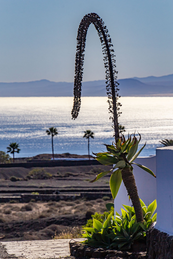 Lanzarote - auch nicht immer senkrecht