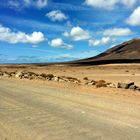 Lanzarote - Auf dem holprigen Weg zum Papagayo Strand