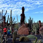 Lanzarote - auf den Spuren des Inselkünstlers César Manrique 1