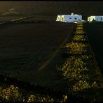 Lanzarote