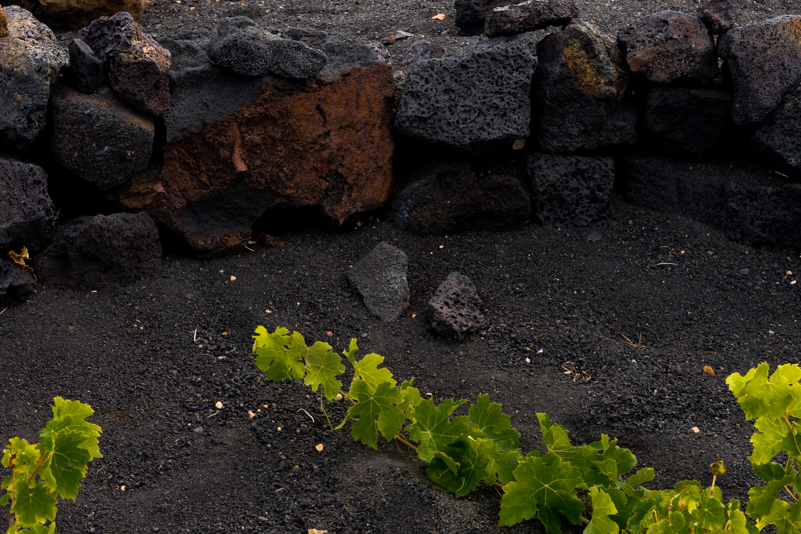 Lanzarote