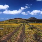 Lanzarote