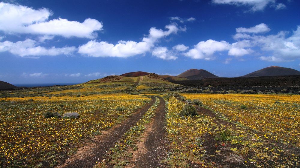 Lanzarote