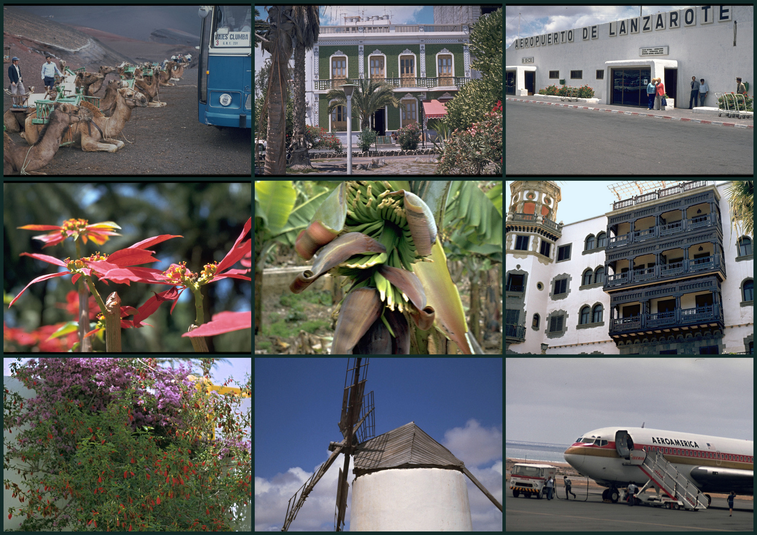 Lanzarote Collage