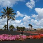 Lanzarote 