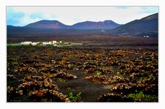 Lanzarote