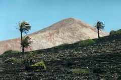 Lanzarote